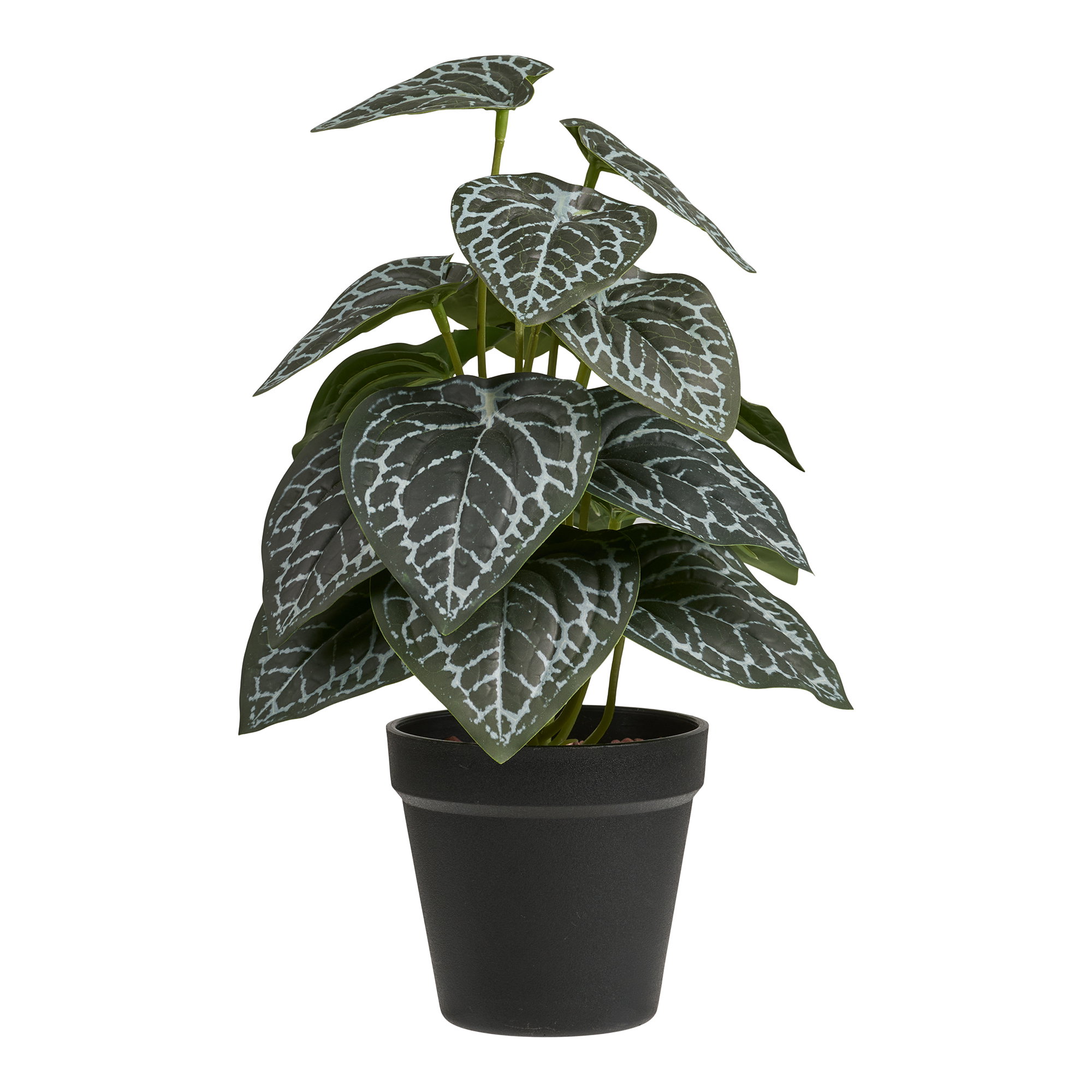 Artificial Plant